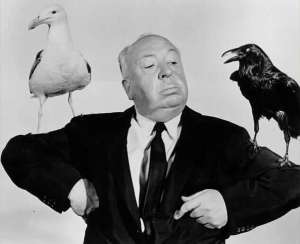 Hitch and Birds