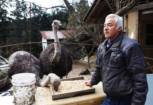 Naoto Matsumura, Guardian of Fukushima’s Animals