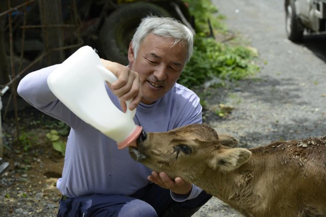 Naoto Matsumura, Guardian of Fukushima’s Animals