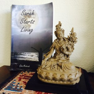 A novel by Gina Medvedz