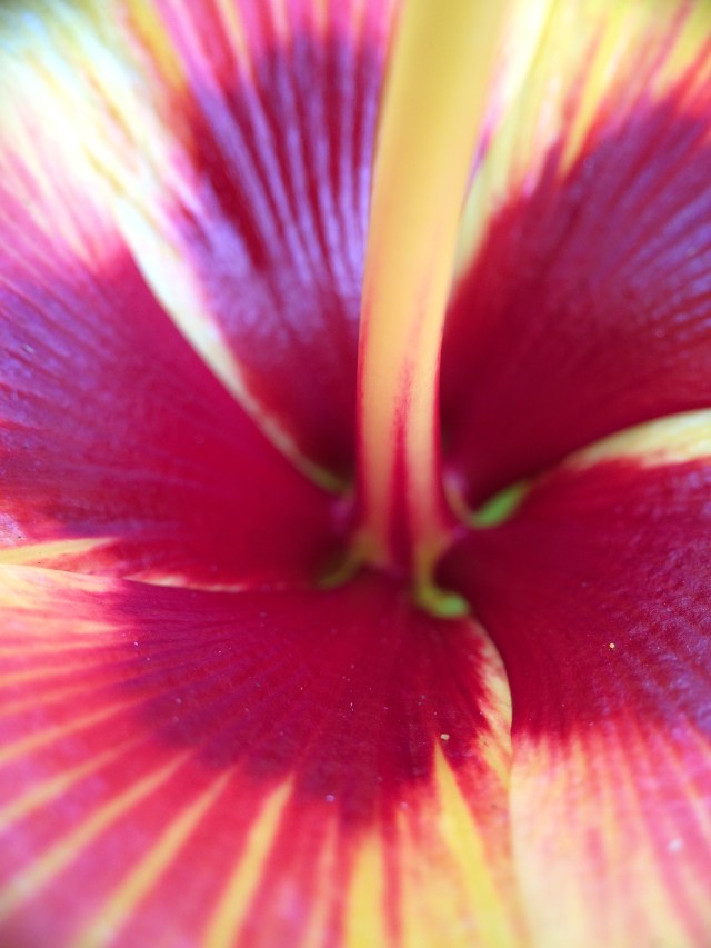 2C406078-BEC9-4D0E-B134-8A0046680A05