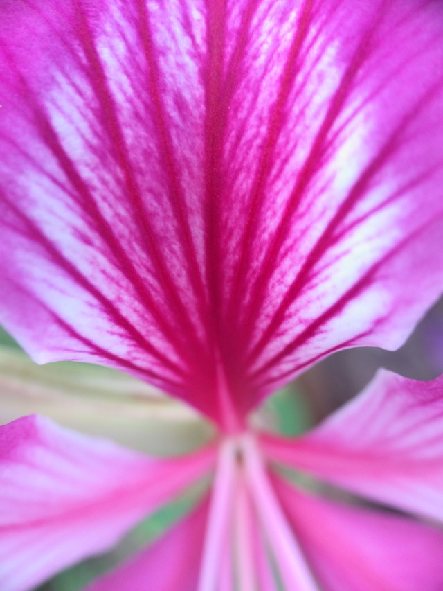 3740B989-E8DB-4109-B661-B780AED76A46