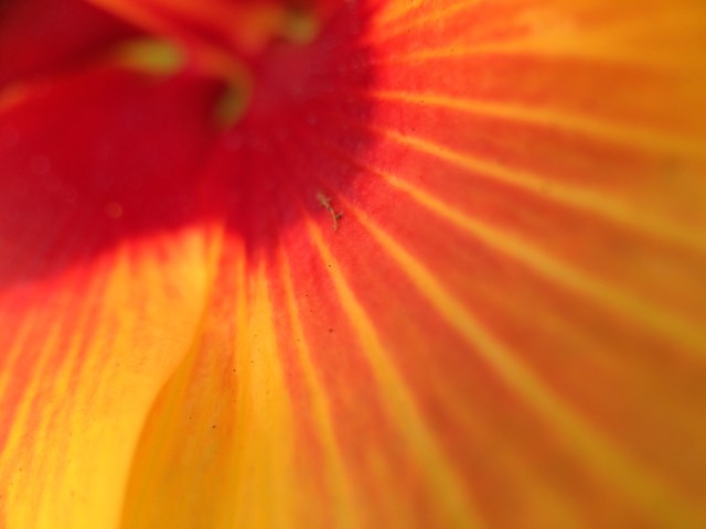 870DAD66-8A18-46C1-8402-0B6DA68B3062