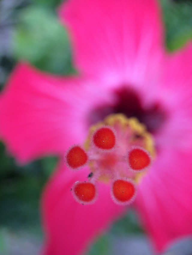 B1D6D1AB-3AB0-48AC-86C8-58B0F326E304