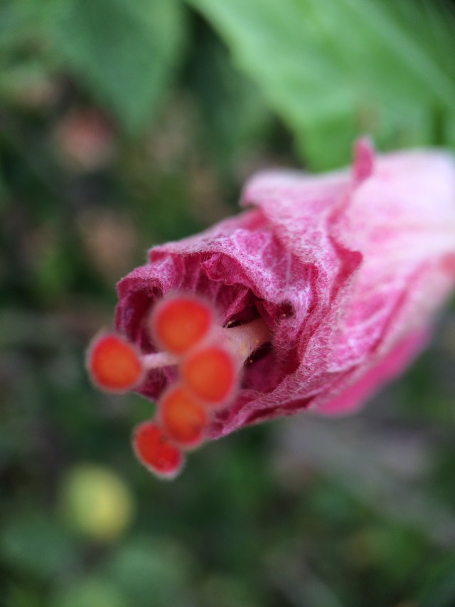 F4A453B6-92C1-4DFB-B84C-AB09F0DC4700