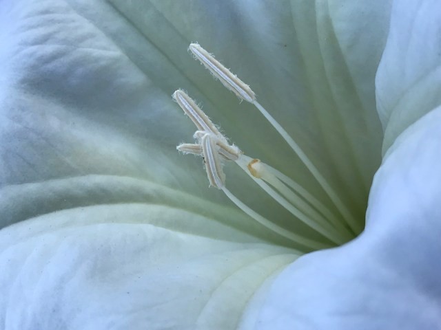 5DEC7B55-EBEC-4568-9DA1-AB17B3CE2202