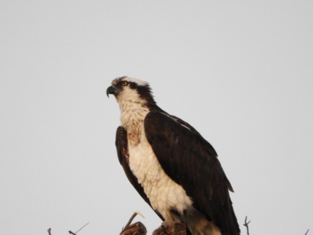 F4E05F53-3B30-4448-BB47-772075F21923