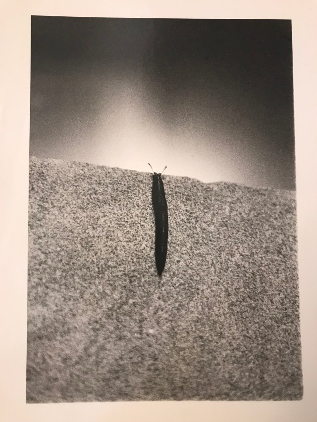 D91BB0AE-ECC3-4973-96B4-9B49D4E05111