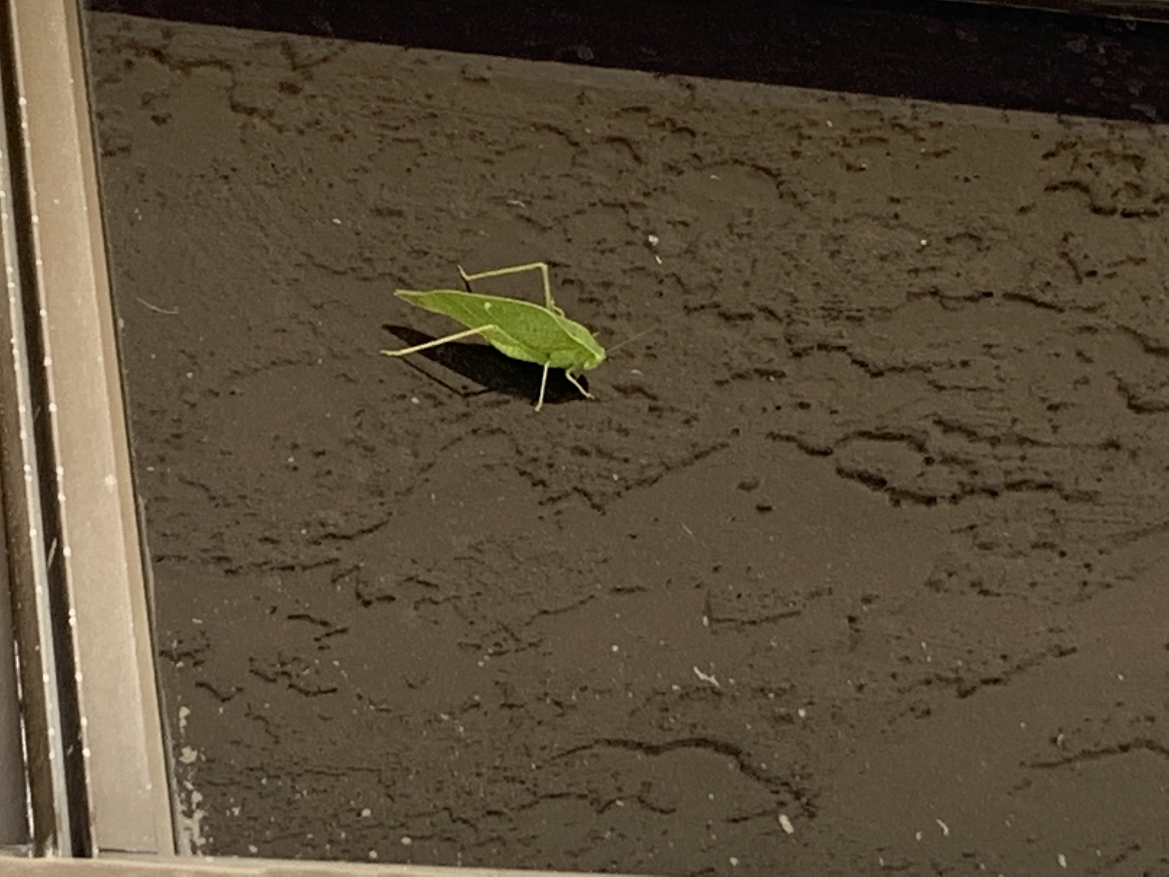 51790151-C462-4C7D-926F-19B3E3B32AAB