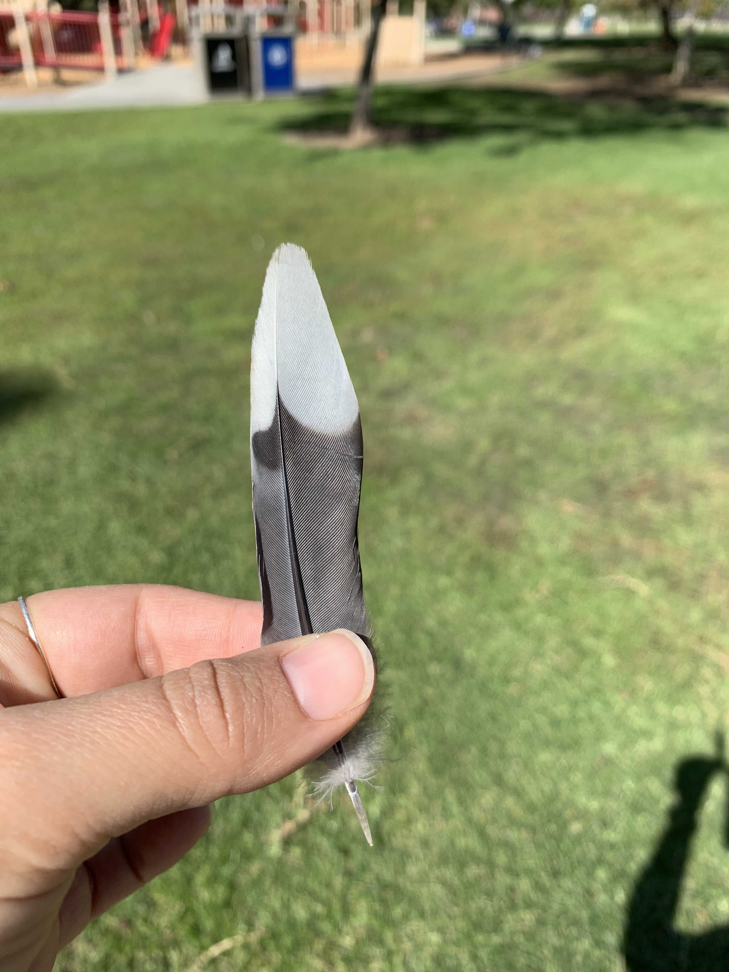 809B11CB-0DE9-4C1C-8518-CE5378AE78DD