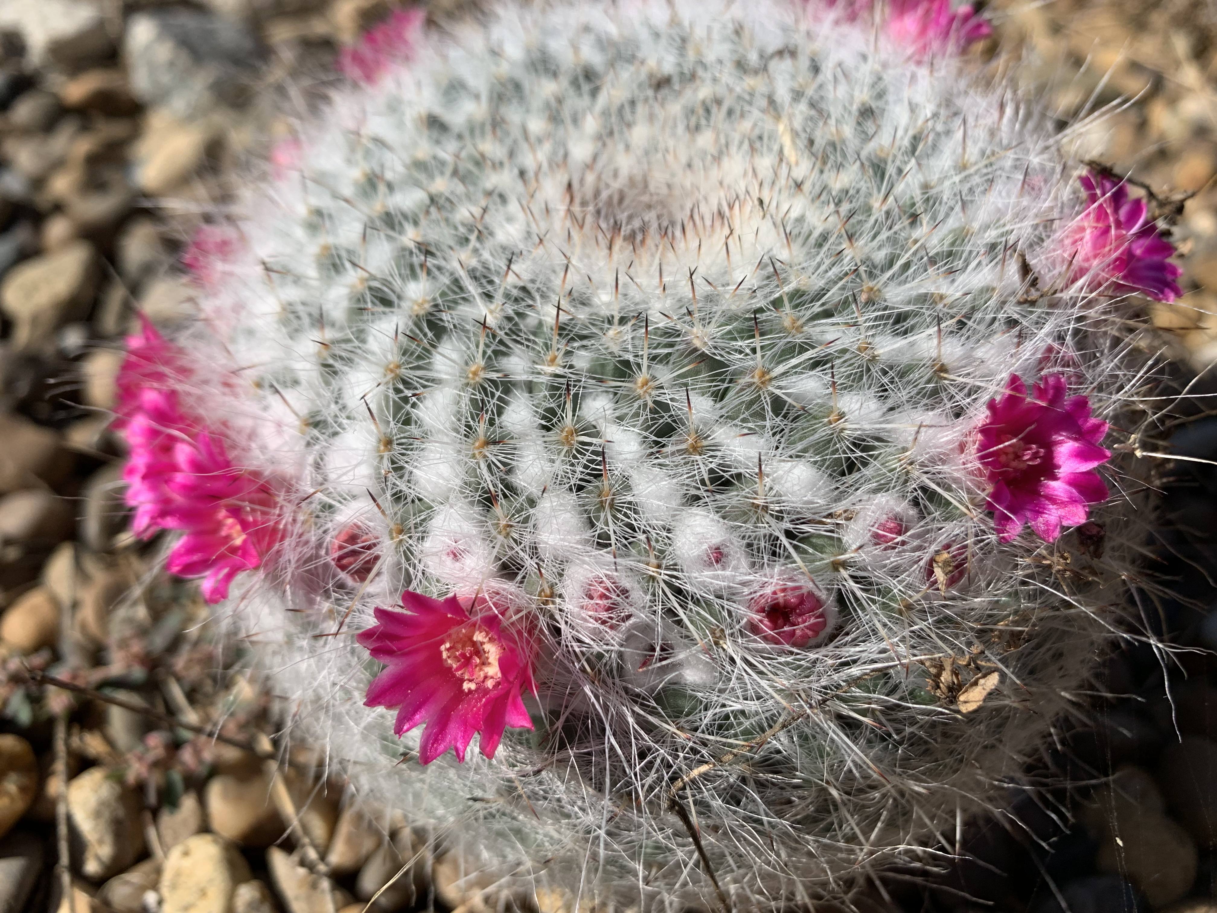 DA6D1732-DEB9-44C9-8DEE-7567DC30FB97