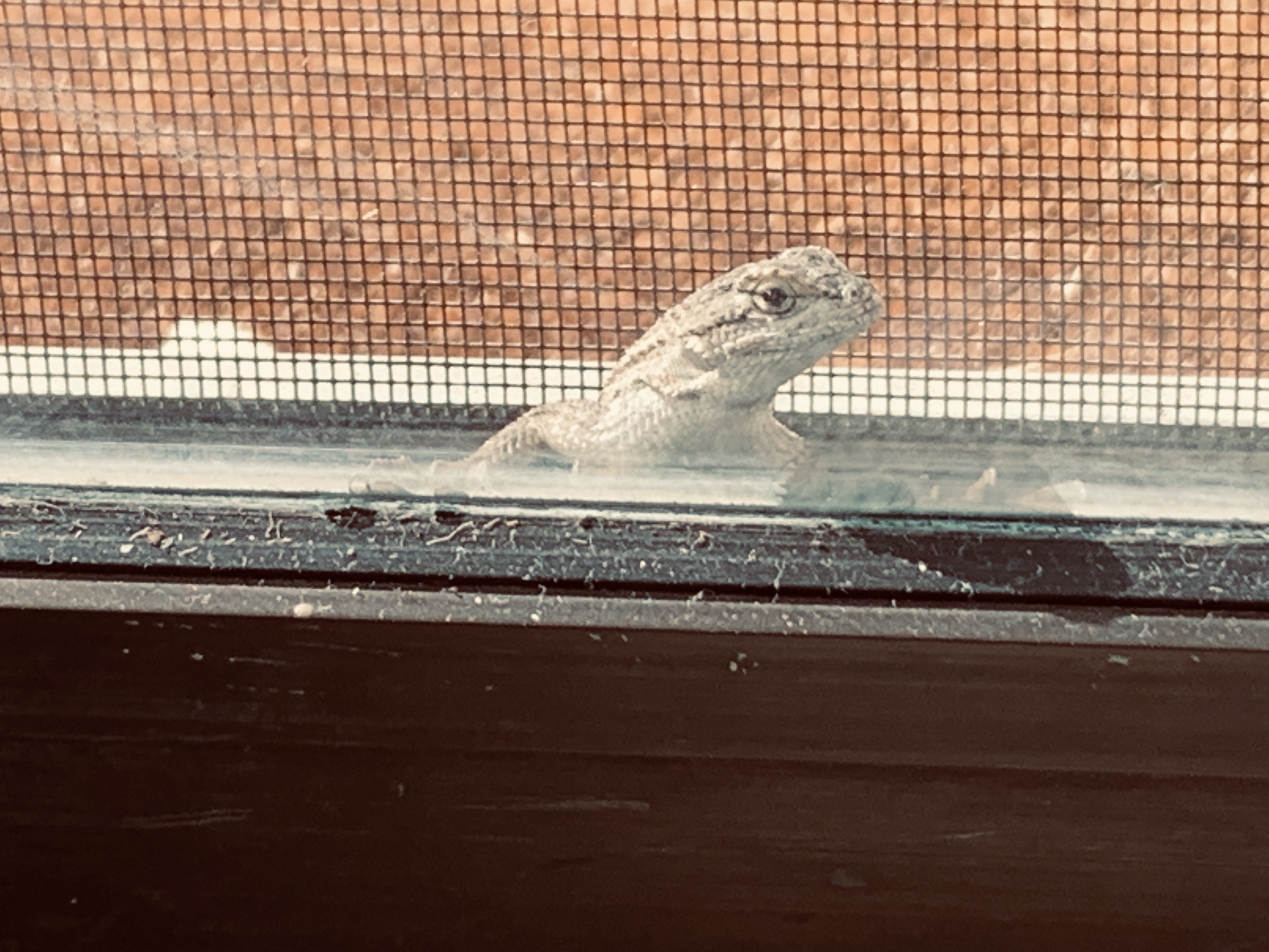 FC7424B1-143A-461D-BBB5-CE26D08C09DE